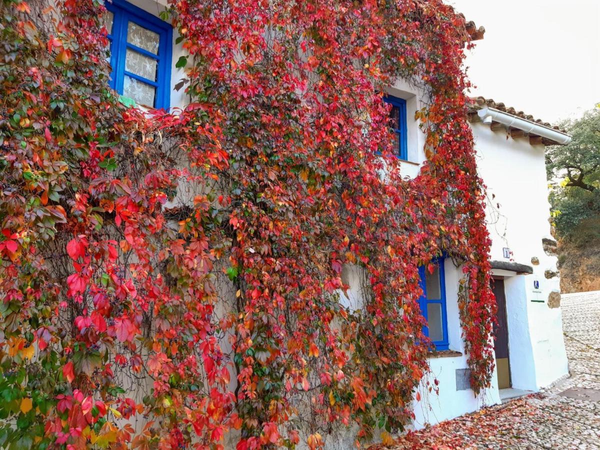 Casita Collado 1 Alájar Exterior foto